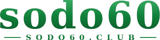 sodo60 logo